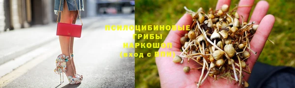 стафф Богданович