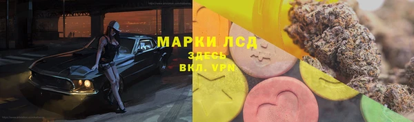 стафф Богданович