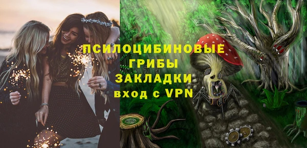 стафф Богданович