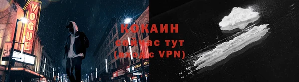 стафф Богданович