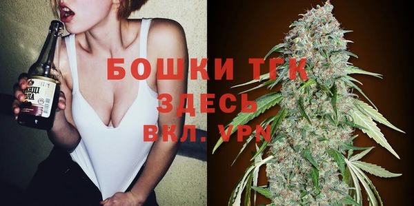 тгк Богородск