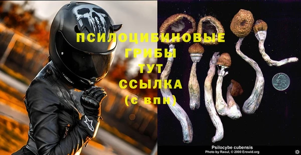 стафф Богданович